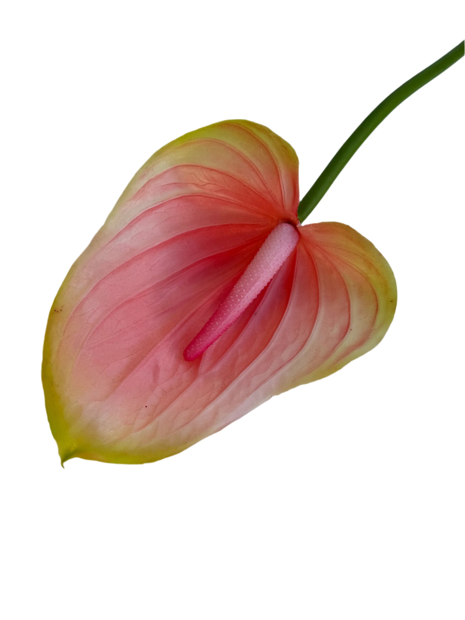anthurium faux flower Pink Anthurium – Tina Leix Floral, Wreath & Home Co