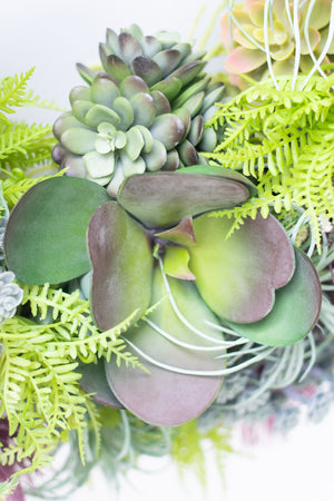 'Sweet on Succulents'